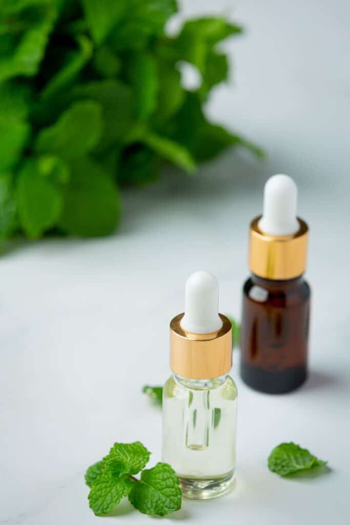 Se soigner avec l'homéopathie à Saint-Malo